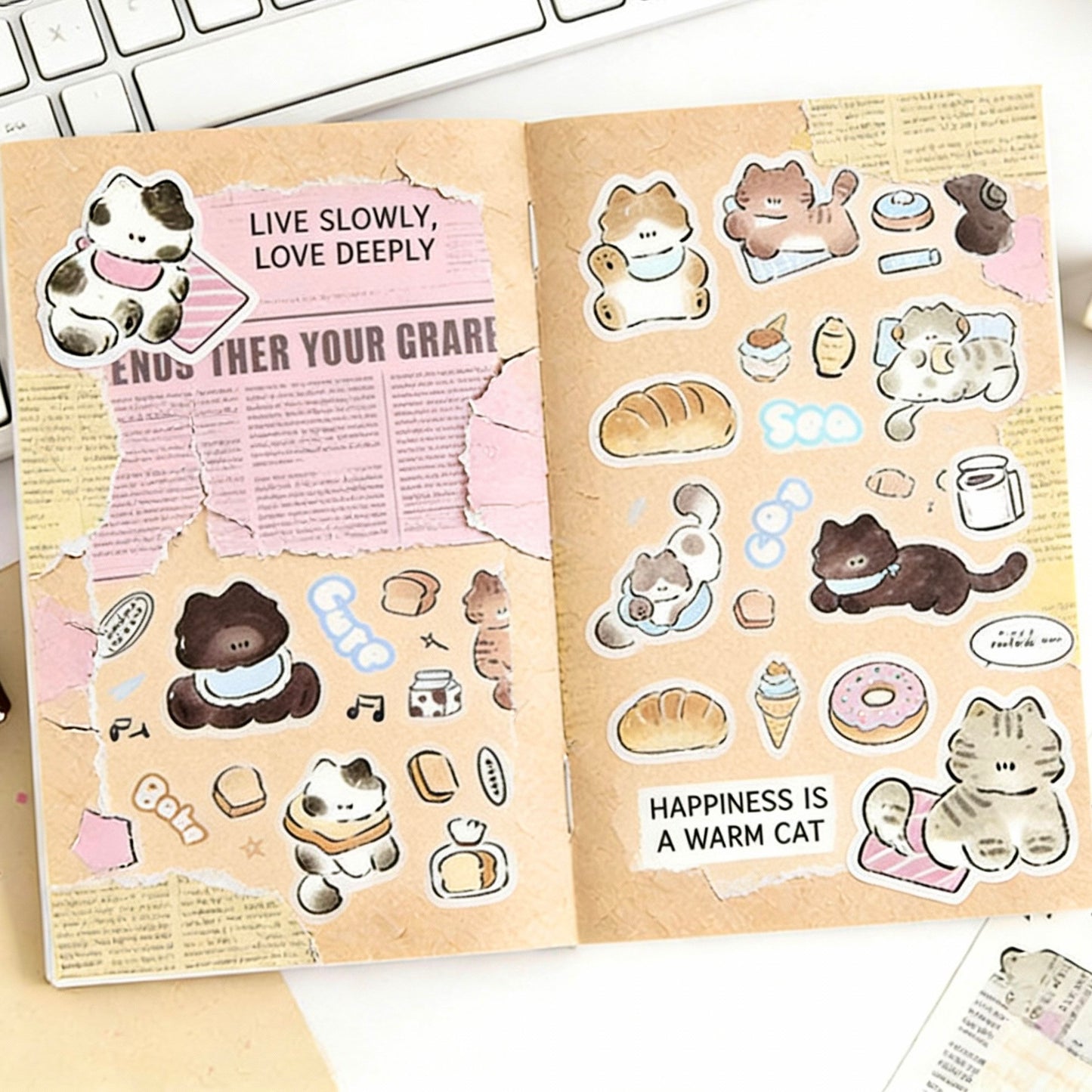 6-Pack Wide Washi Set | The Chubby Kitties | Extra Wide Pre-Die-Cut