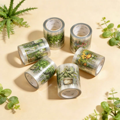 6-Pack Set | Clear Decorative Tape - The Hanging Greens Collection | Pre-Die-Cut