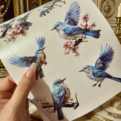 Sticker Book | The Enchanting Fantasy Collection
