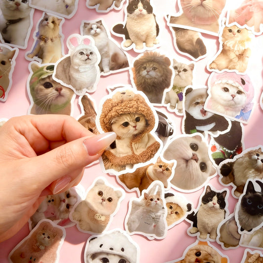 100 Pcs Individual Stickers |  Kitty-Cat Collection