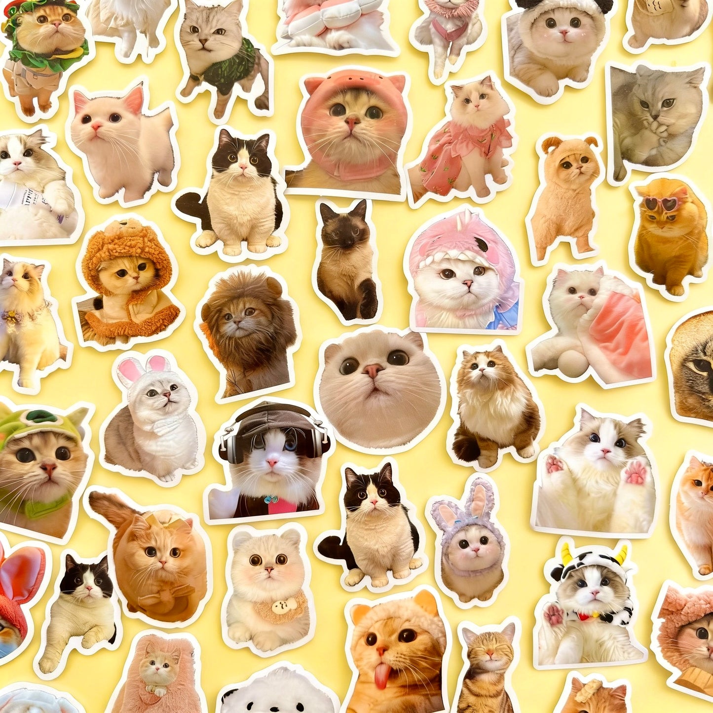 100 Pcs Individual Stickers |  Kitty-Cat Collection