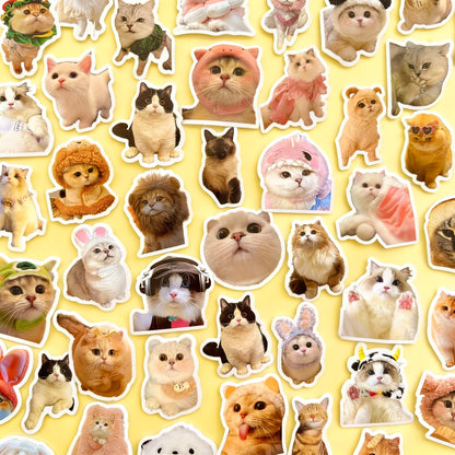 100 Pcs Individual Stickers |  Kitty-Cat Collection