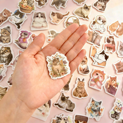 100 Pcs Individual Stickers |  Kitty-Cat Collection