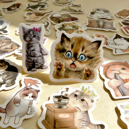 100 Pcs Individual Stickers |  Kitty-Cat Collection