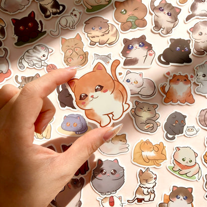 100 Pcs Individual Stickers |  Kitty-Cat Collection