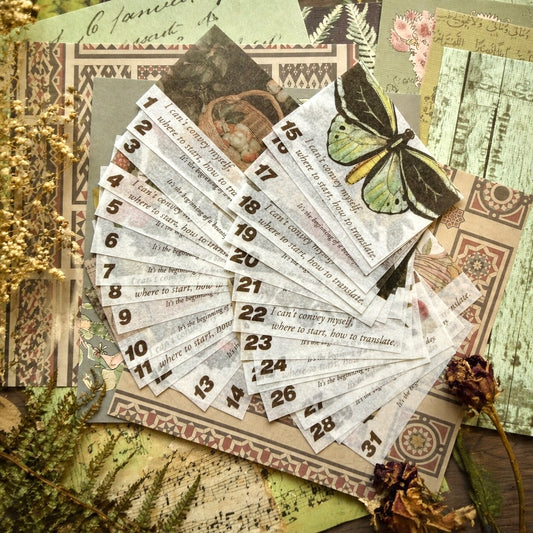 Record in the Forest Journal Gift Set